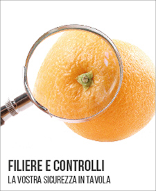 Filiere e Controlli