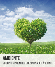 Ambiente
