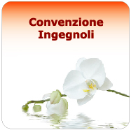 Convenzione Ingegnoli
