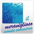 Punti vendita