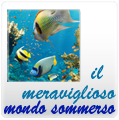 Meraviglioso mondo sommerso