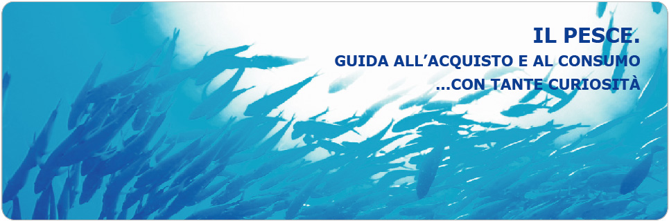 Pesce Il Gigante