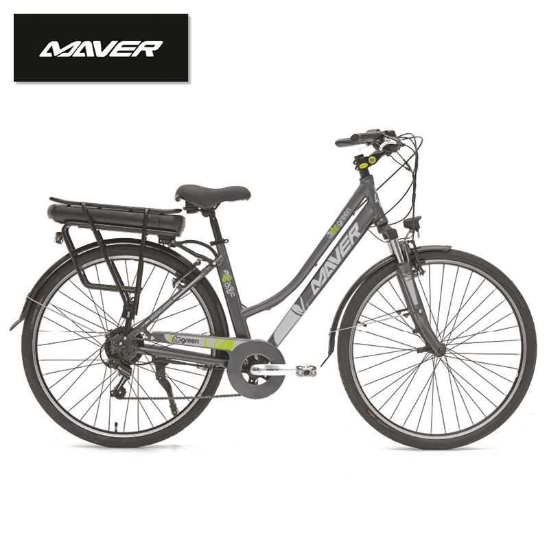 Bicicletta elettrica \