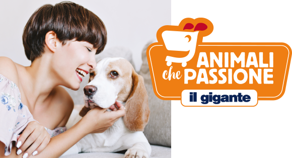 logo-e-immagine-animali-che-passione logo-e-immagine-animali-che-passione